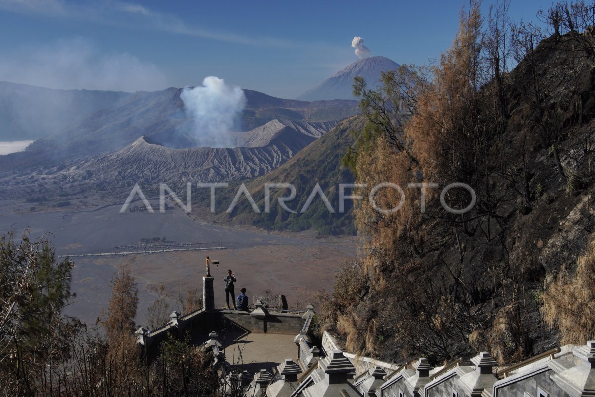 Wisata Gunung Bromo Dibuka Kembali Antara Foto