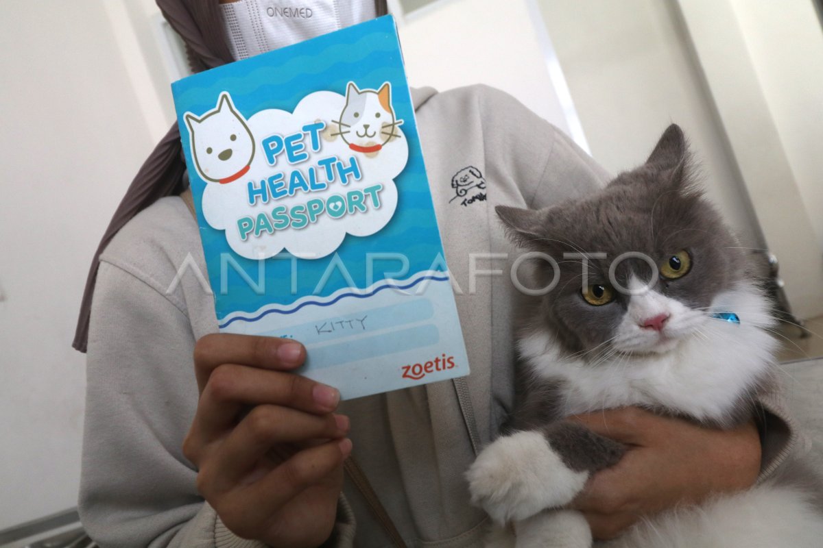Seribu vaksin gratis peringatan Hari Rabies
