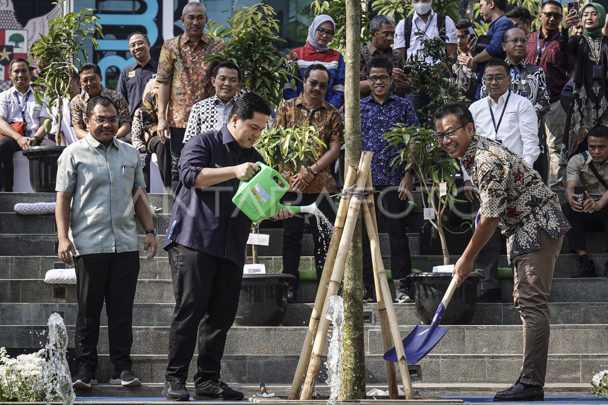 Gotong Royong Boyong Pohon BUMN