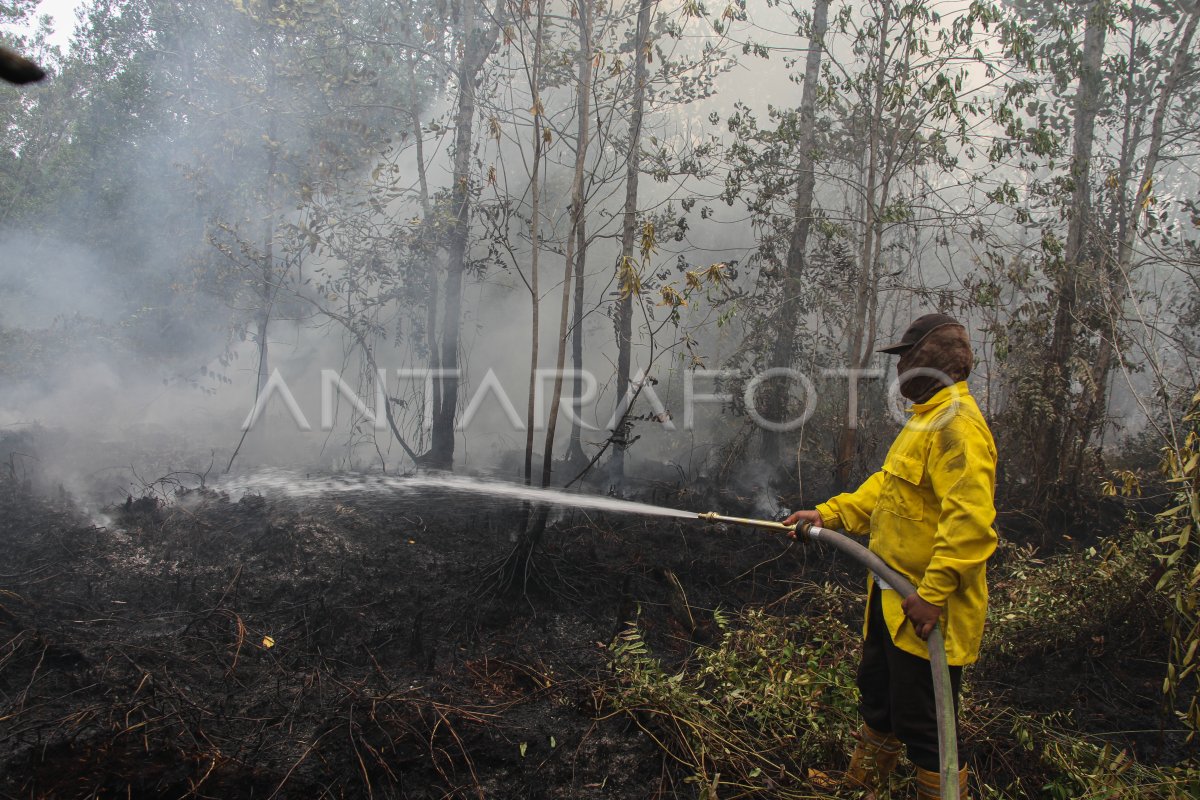 Upaya Pemadaman Karhutla Di Kalimantan Tengah | ANTARA Foto