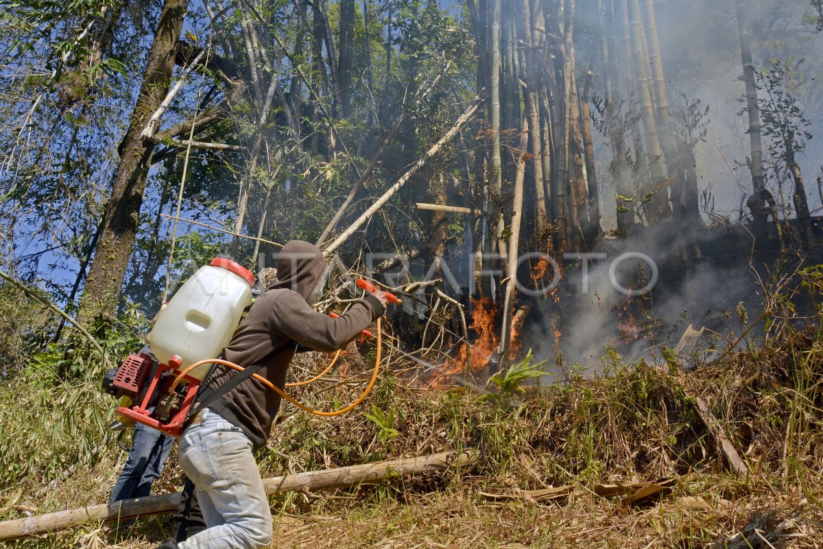 Kebakaran hutan pinus di tempat wisata Malino
