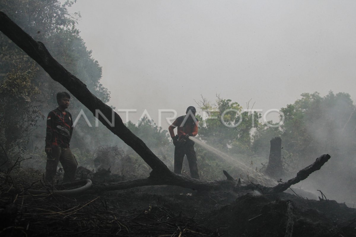 Pemkot Palangka Raya Tetapkan Status Tanggap Darurat Karhutla | ANTARA Foto