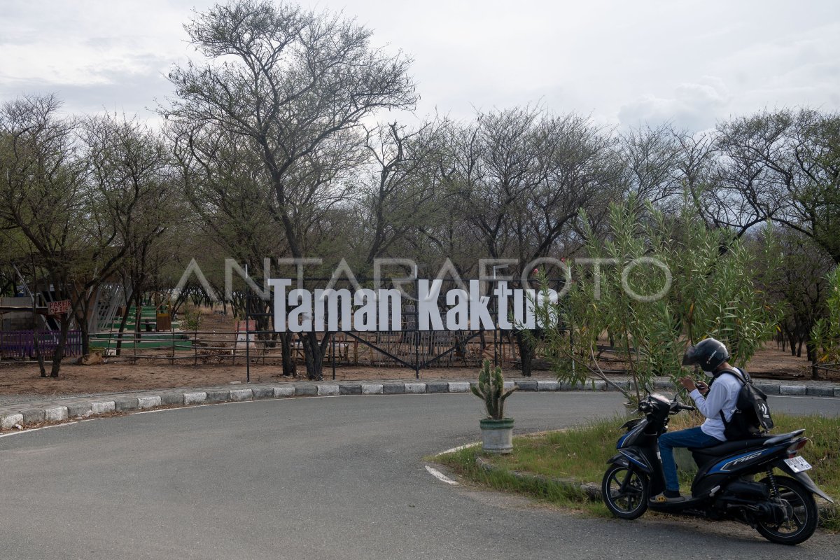 Taman Kaktus di Palu tak terurus | ANTARA Foto