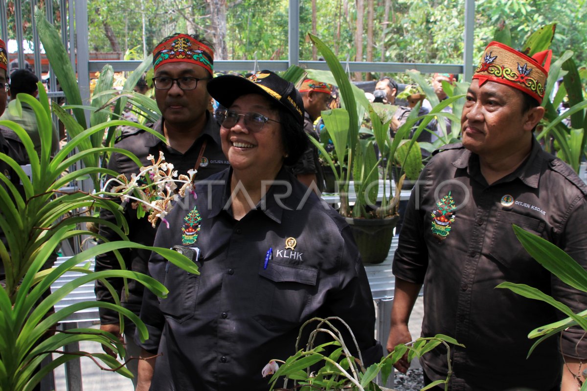 Puncak Peringatan Hari Konservsi Alam Nasional 2023 Antara Foto