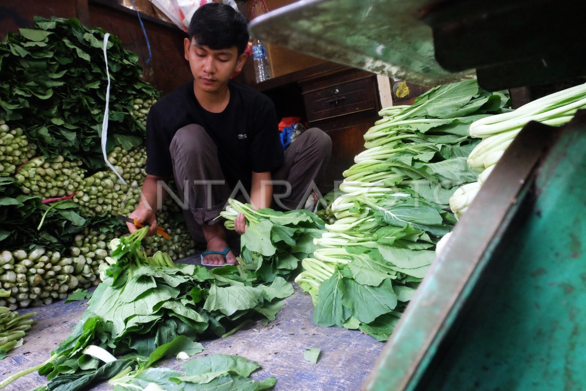 Realisasi Anggaran Ketahanan Pangan 2023 | ANTARA Foto