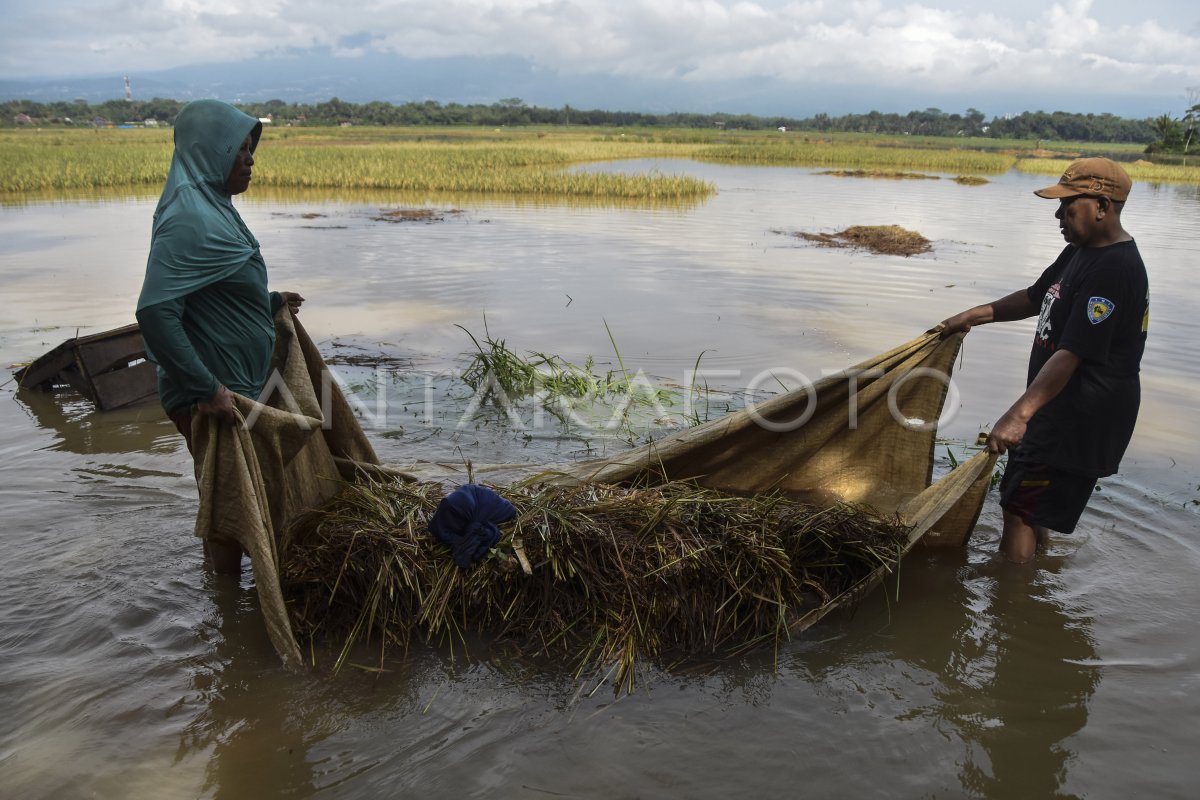 Banjir Luapan Sungai Citanduy | ANTARA Foto