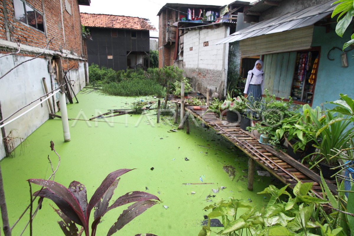 PERENCANAAN RELOKASI WARGA KAMPUNG APUNG | ANTARA Foto