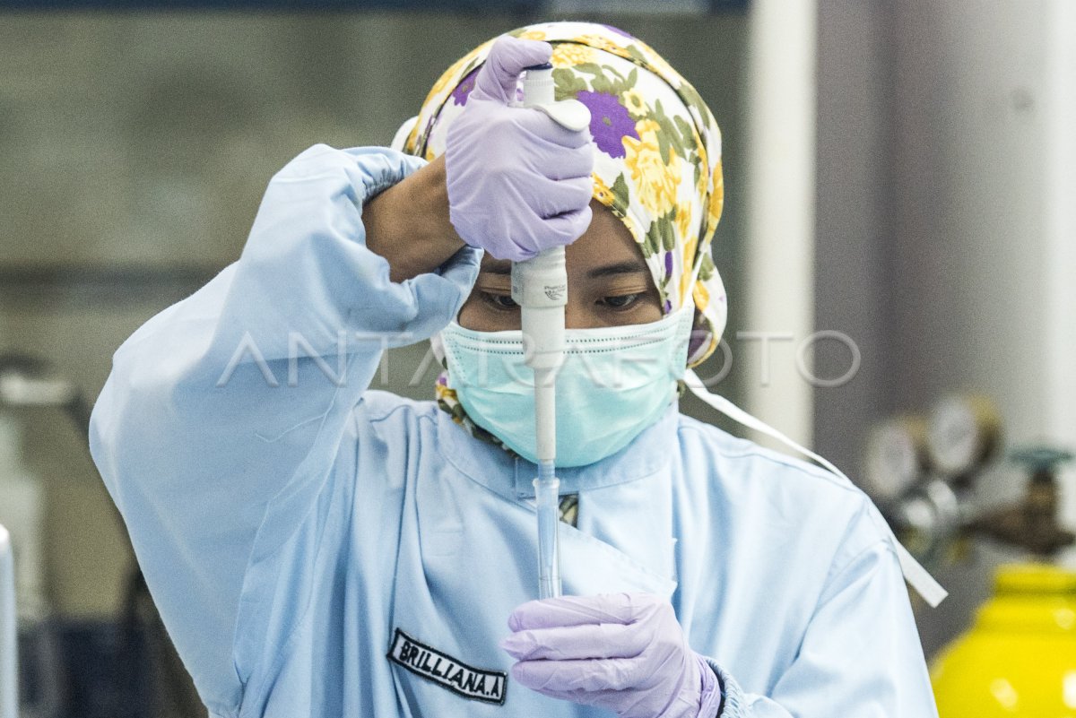 Pemeriksaan Di Laboratorium Bpom Antara Foto