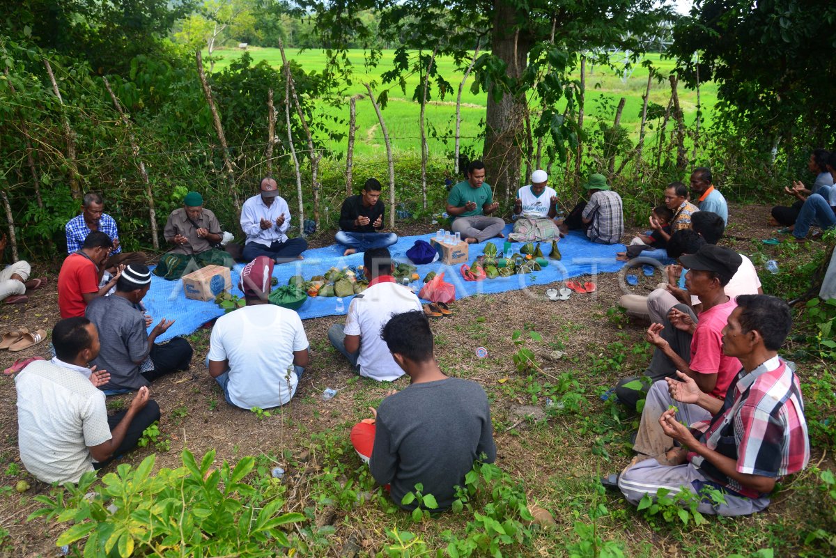 TRADISI KENDURI SAAT PADI TUMBUH DARA | ANTARA Foto