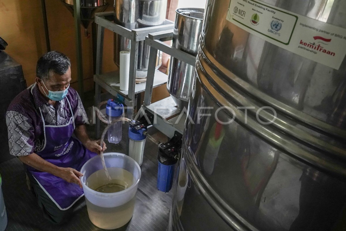 Pembuatan Minyak Kelapa Murni Antara Foto