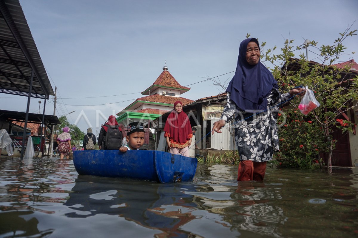BANJIR ROB MASIH MENGGENANGI PEKALONGAN