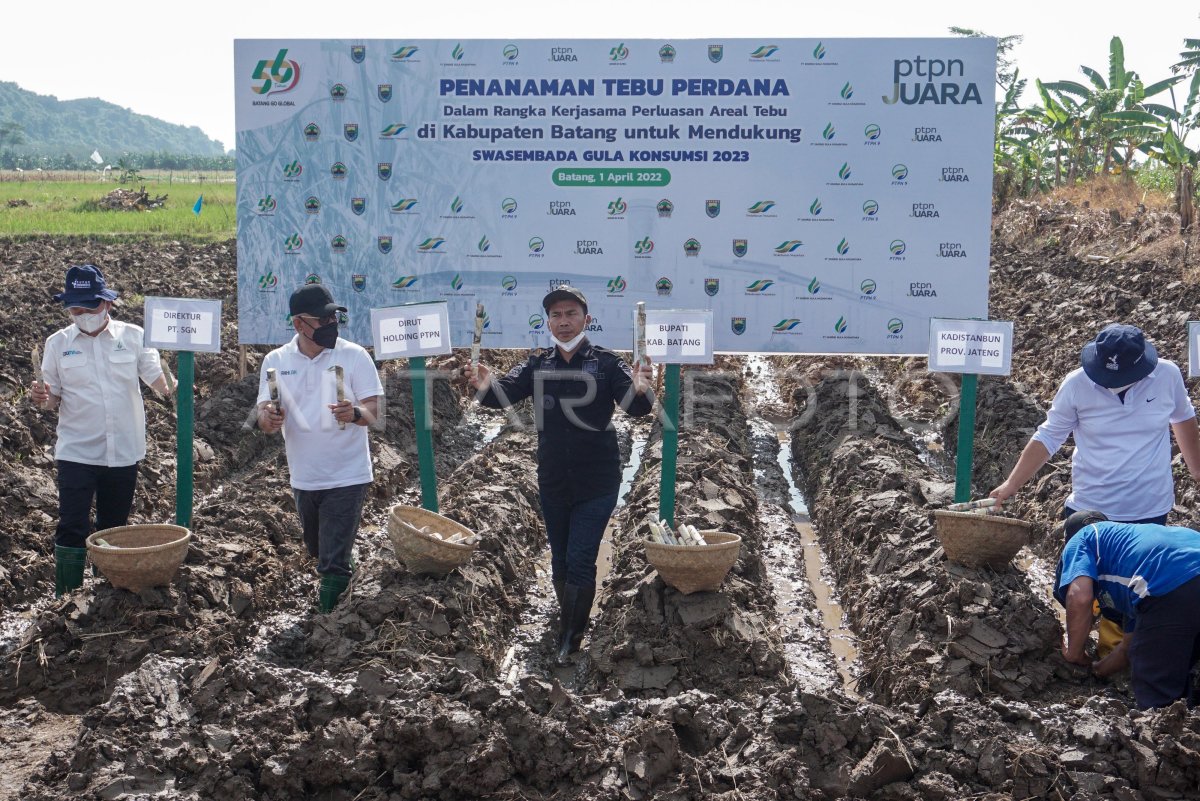 TARGET PRODUKSI GULA NASIONAL