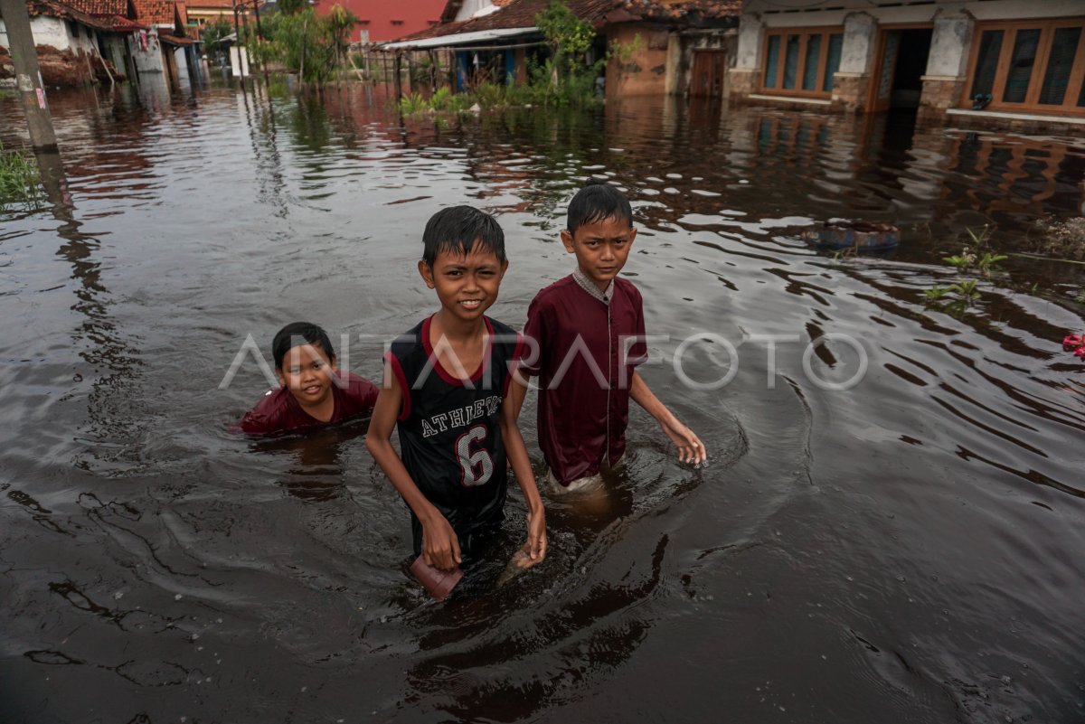 BANJIR ROB KOTA PEKALONGAN MASIH TINGGI
