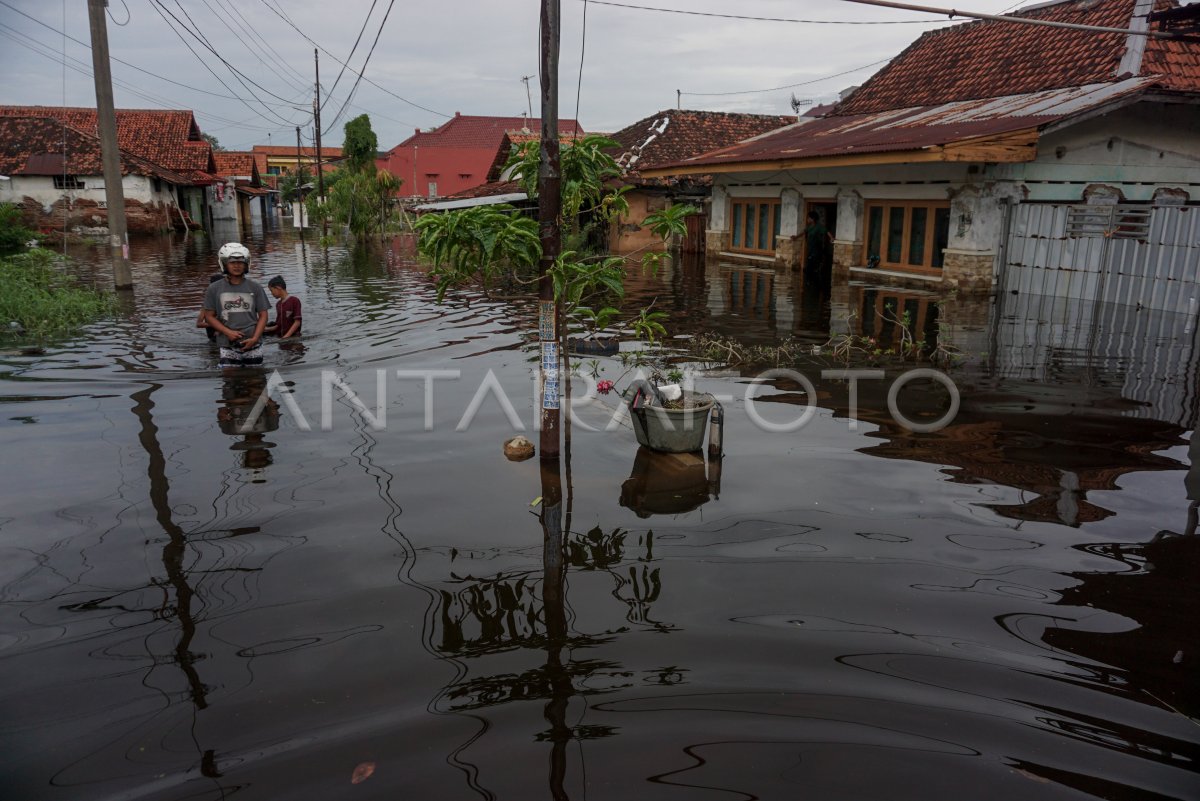 Banjir Rob Kota Pekalongan Masih Tinggi Antara Foto