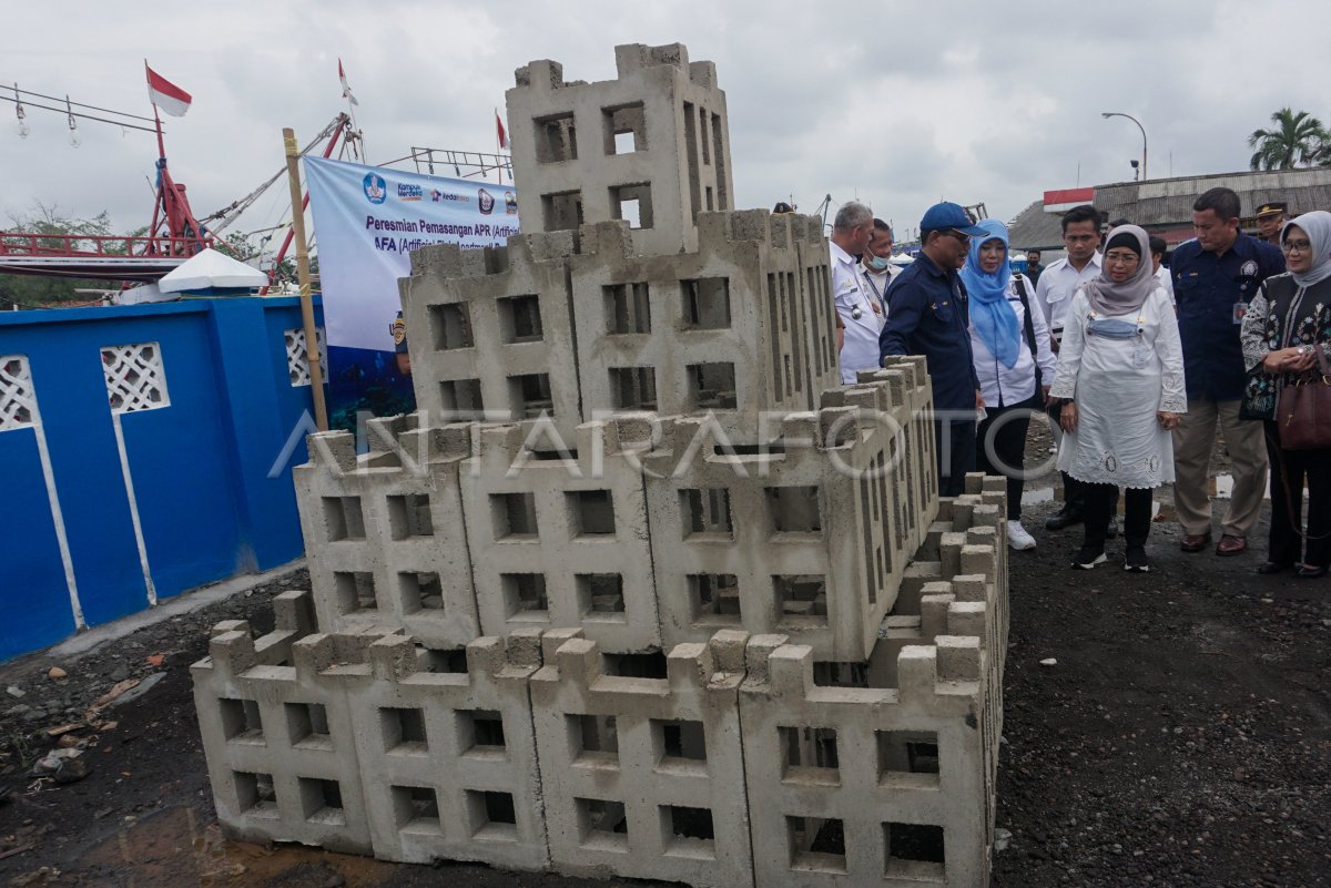 Peletakan Terumbu Karang Buatan Di Laut Antara Foto