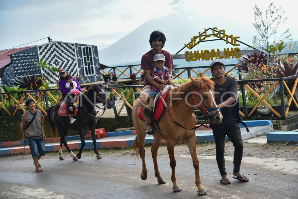 Wisata Berkuda Di Berastagi Antara Foto