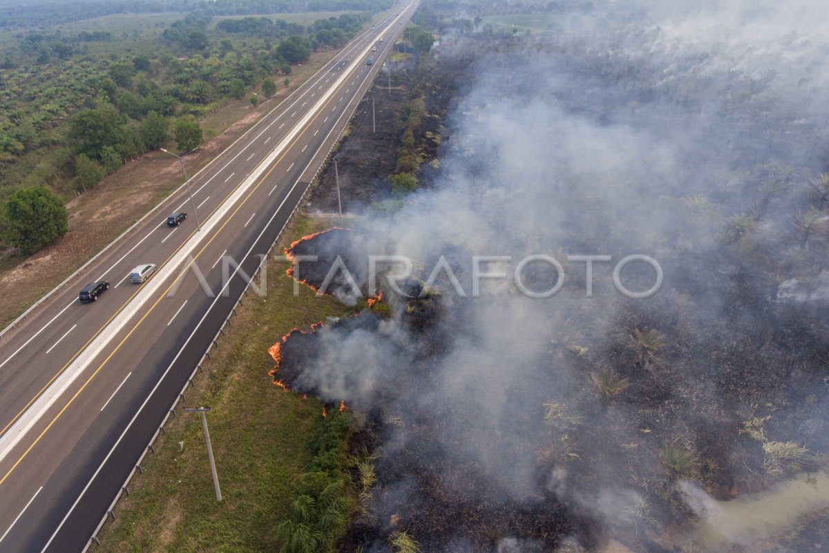 Kebakaran lahan di Palem Raya