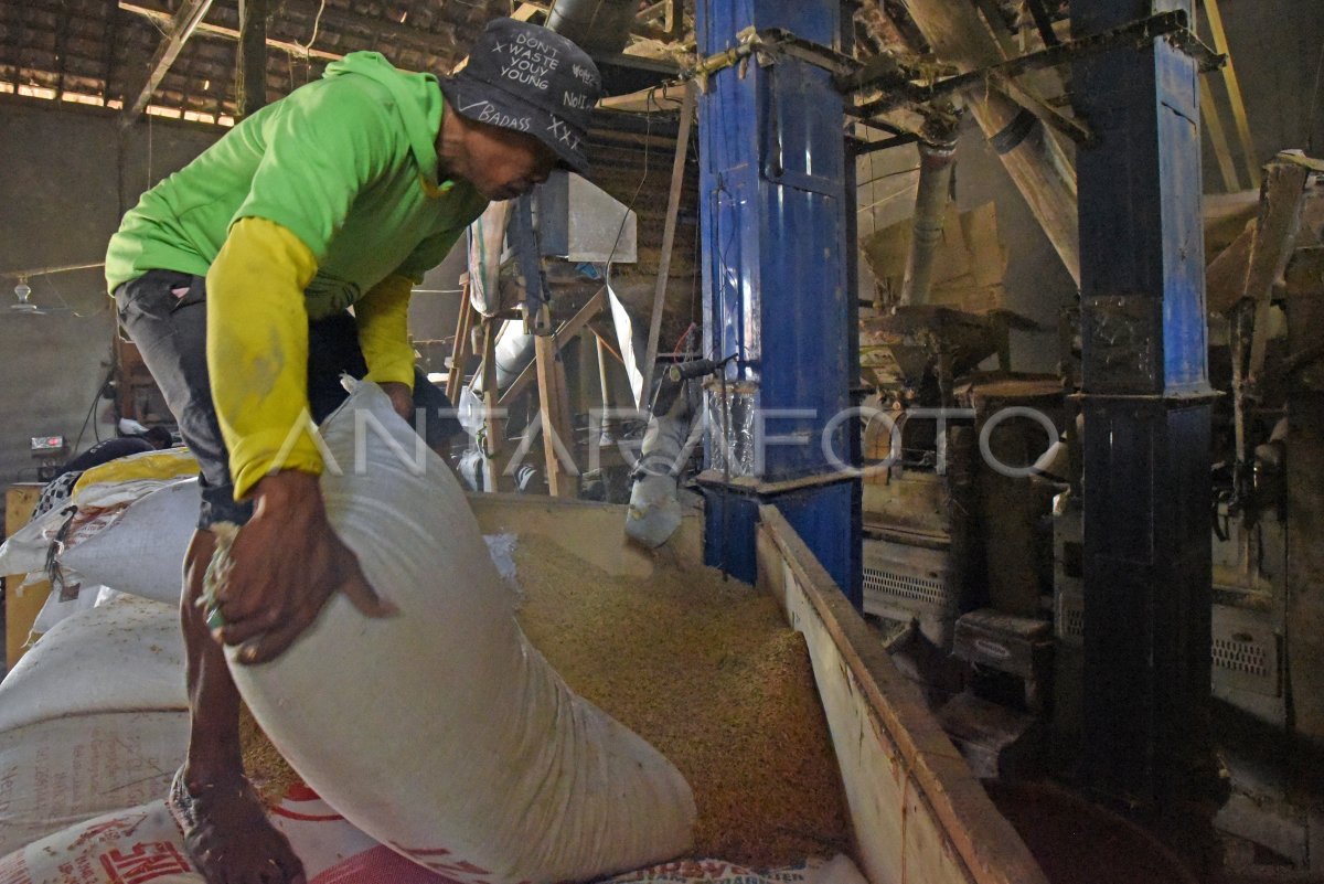 Dampak kemarau jasa penggilingan padi sepi order