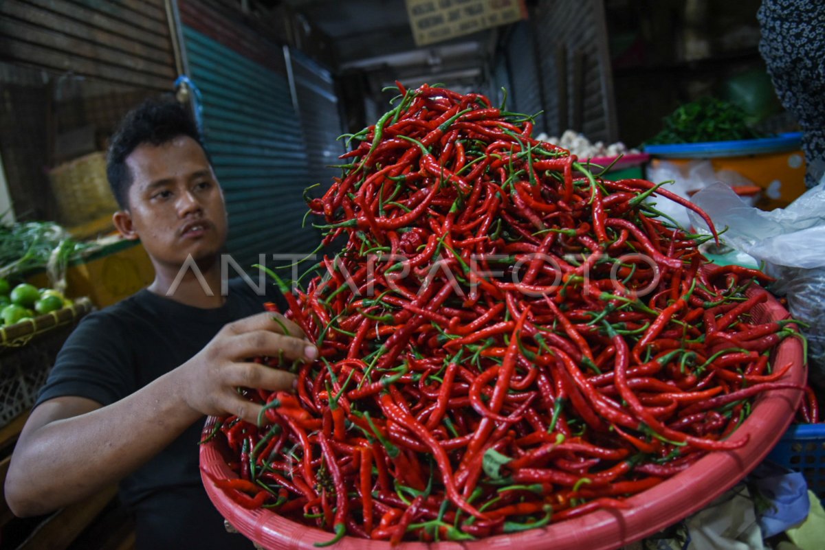 Kenaikan Harga Cabai Di Medan Antara Foto