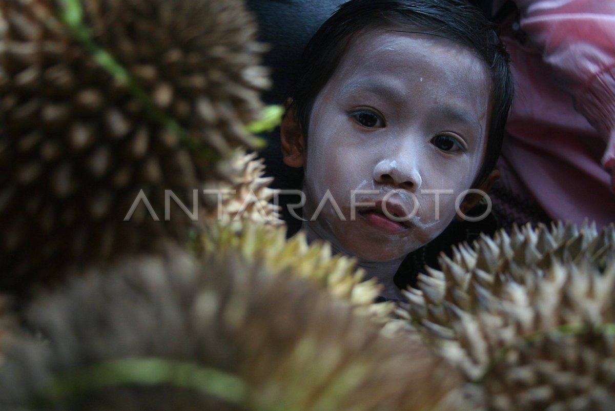 PESTA DURIAN | ANTARA Foto