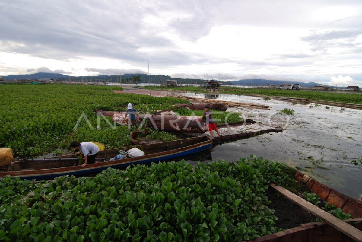 PENDANGKALAN DANAU TONDANO | ANTARA Foto