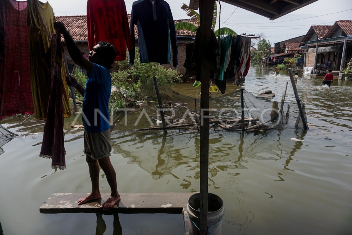 BANJIR ROB PEKALONGAN BELUM SURUT
