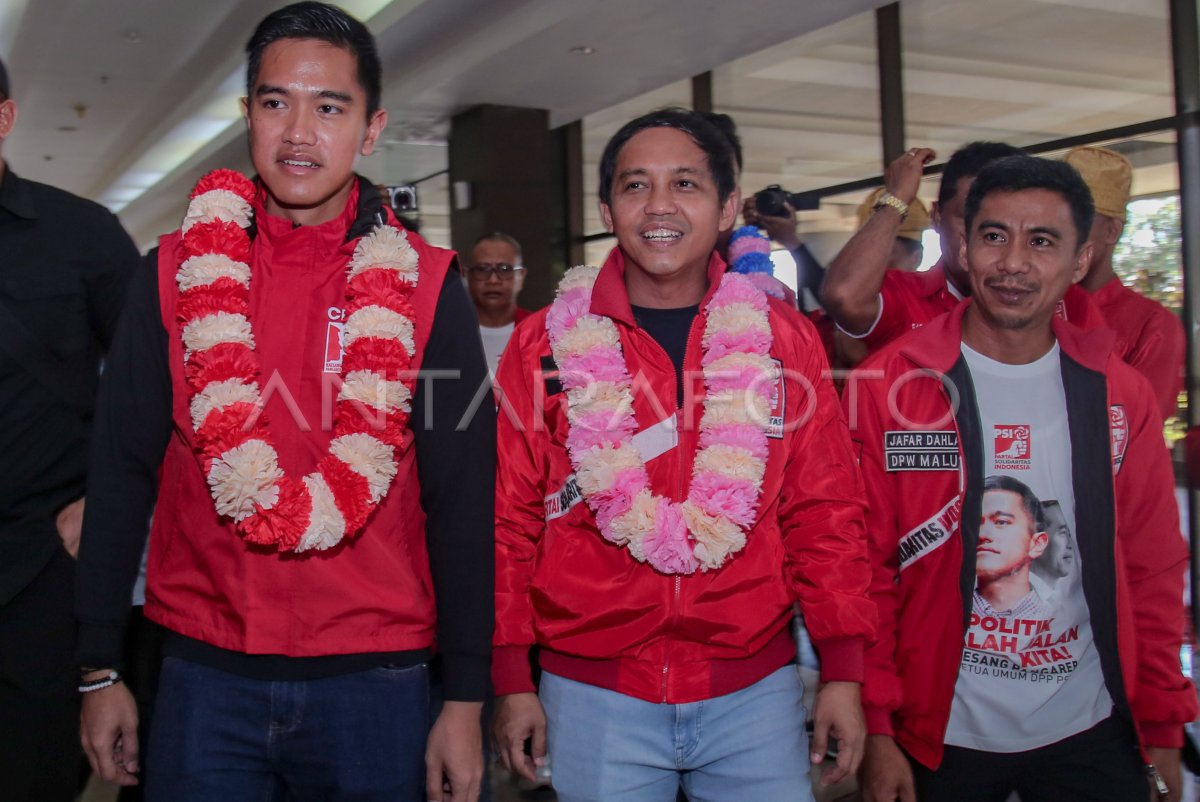 Kunjungan Kaesang Pangarep Di Ternate Antara Foto