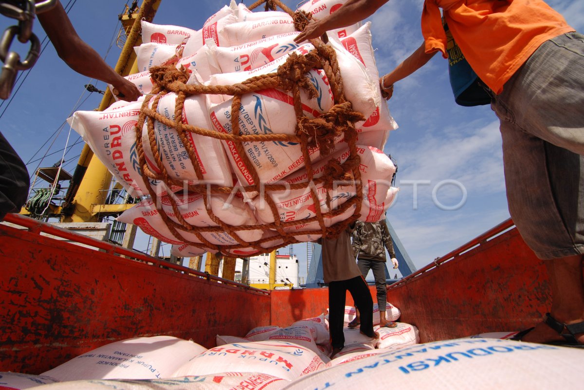 PUPUK BERSUBSIDI | ANTARA Foto