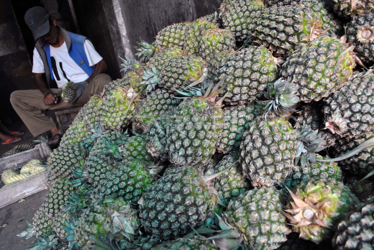 PERMINTAAN BUAH NANAS.