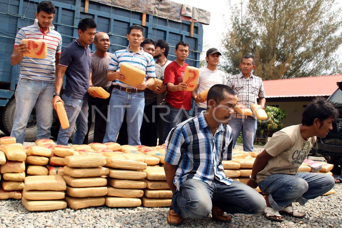 GAGALKAN PEREDARAN GANJA | ANTARA Foto