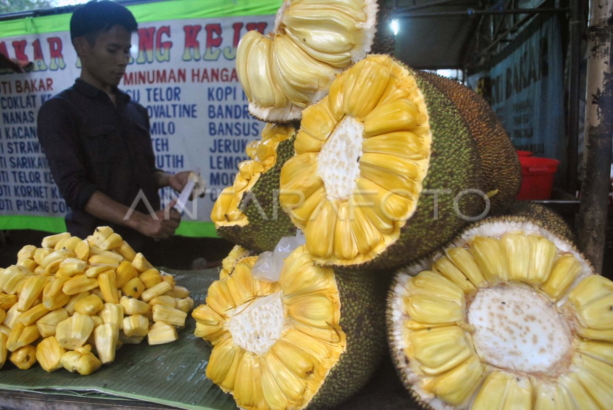 Buah Nangka Madu Antara Foto