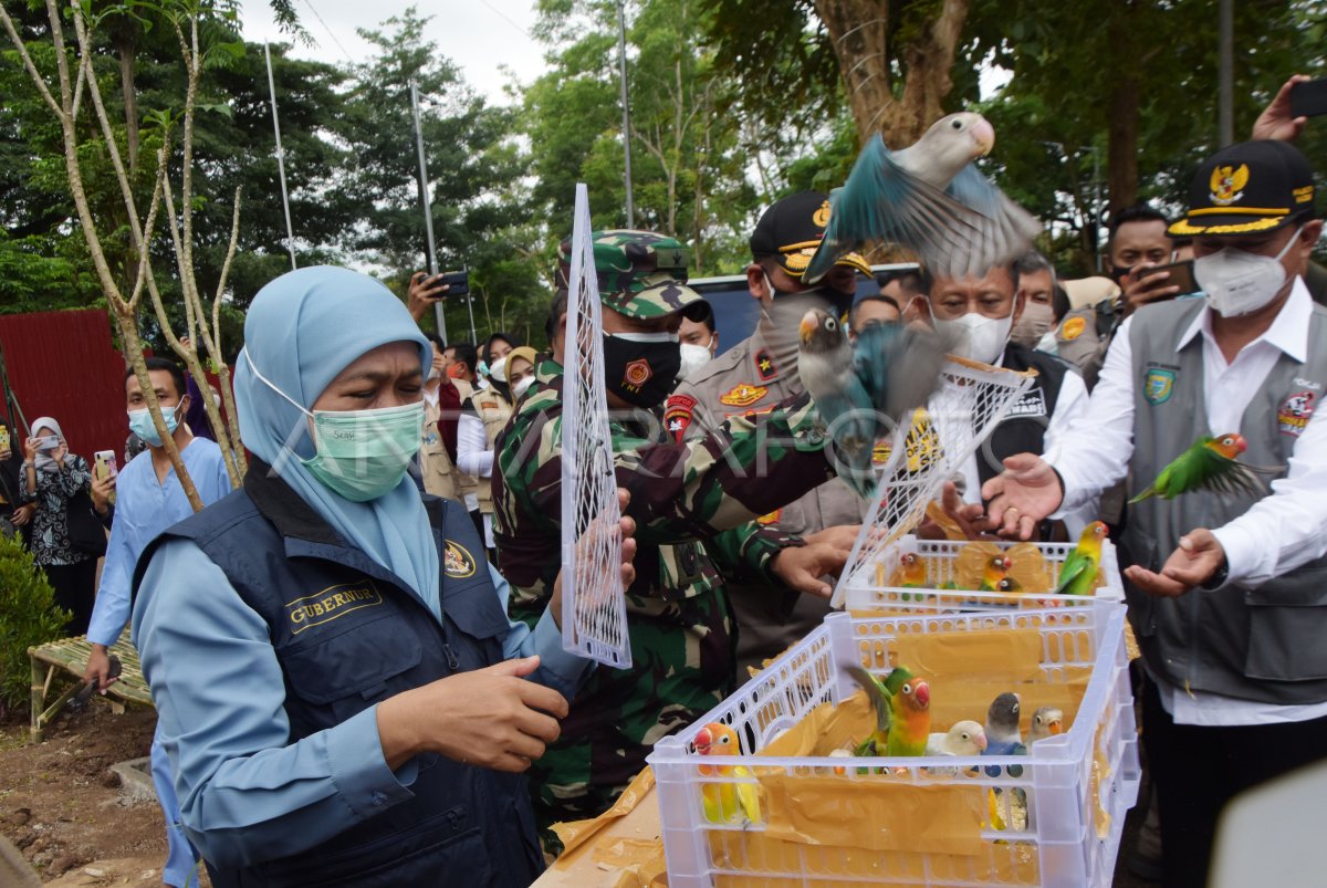 Gubernur Khofifah Resmikan Rumah Sakit Lapangan Antara Foto