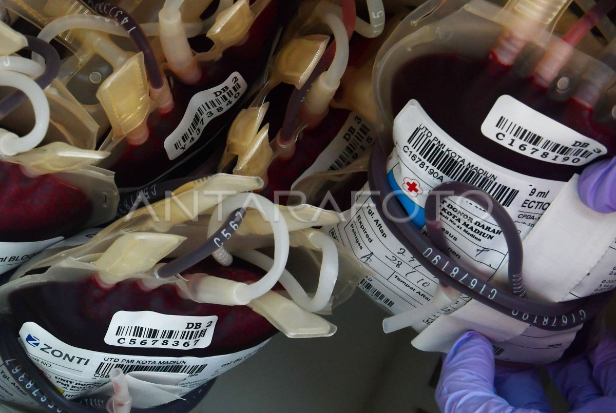 Donor darah Hari PMI di Madiun