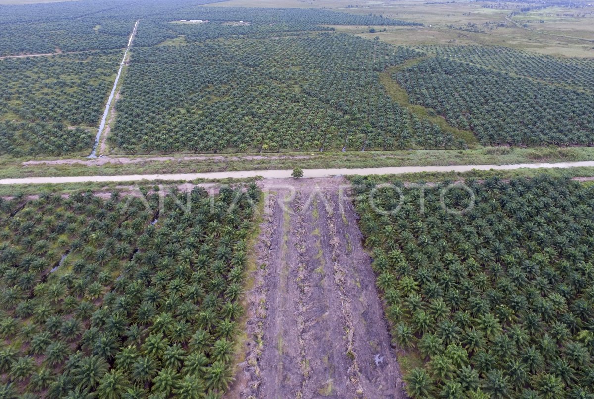 Pembebasan Lahan Tol Palindra Antara Foto