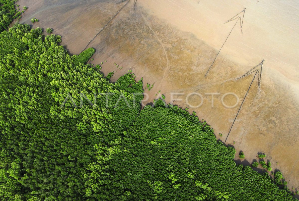 Konservasi ekosistem laut di Indonesia