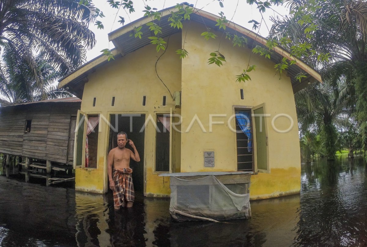 Banjir Di Muaro Jambi Antara Foto