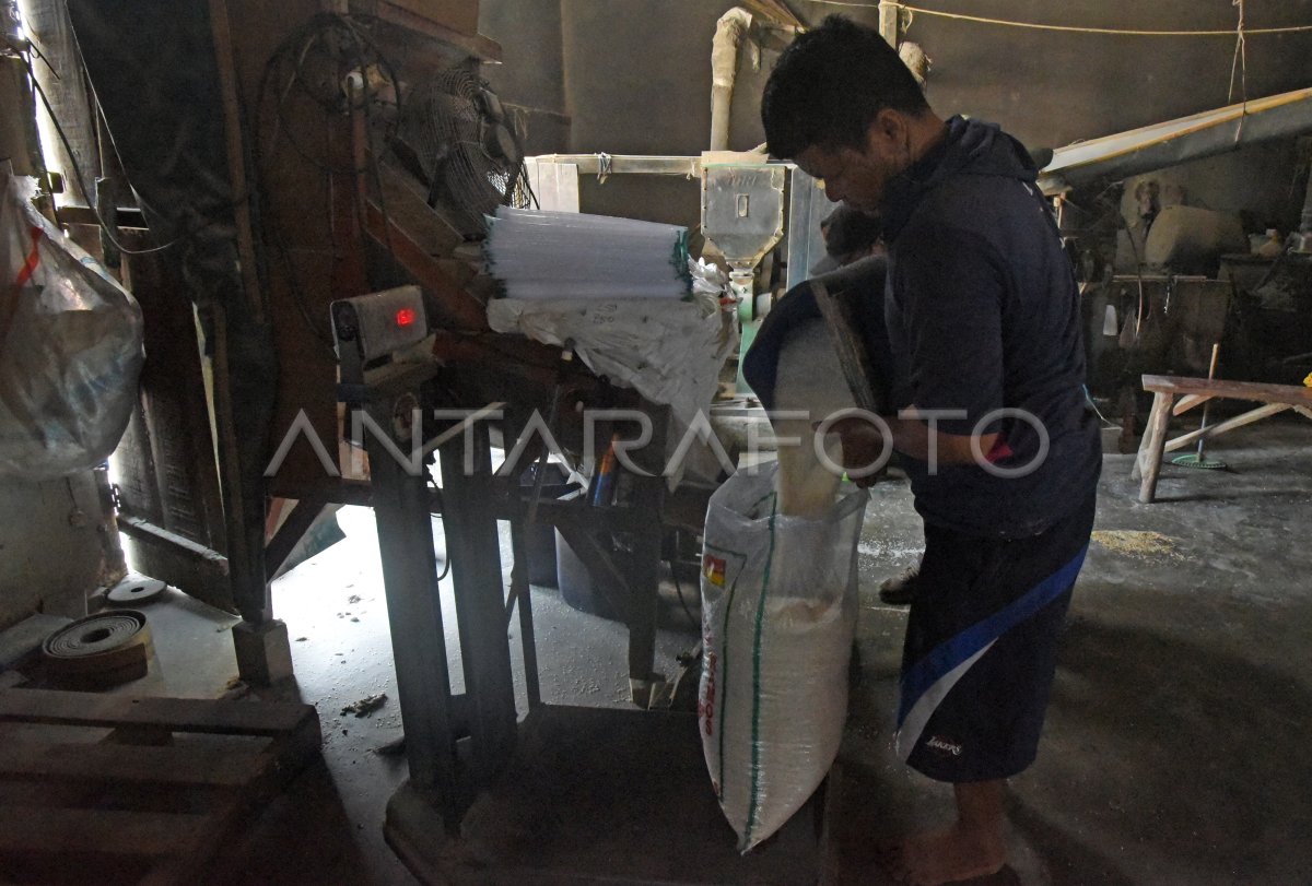 Dampak kemarau penggilingan padi sepi order