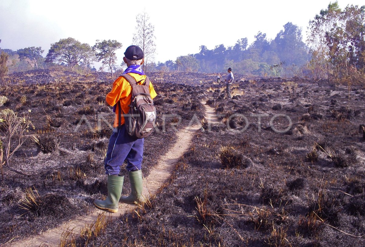 Sisa Kebakaran Rinjani Antara Foto