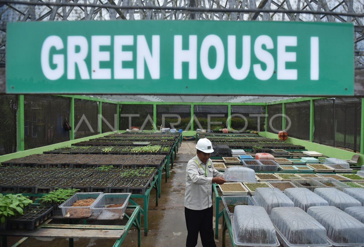 Fasilitas Pembibitan Adaro Antara Foto