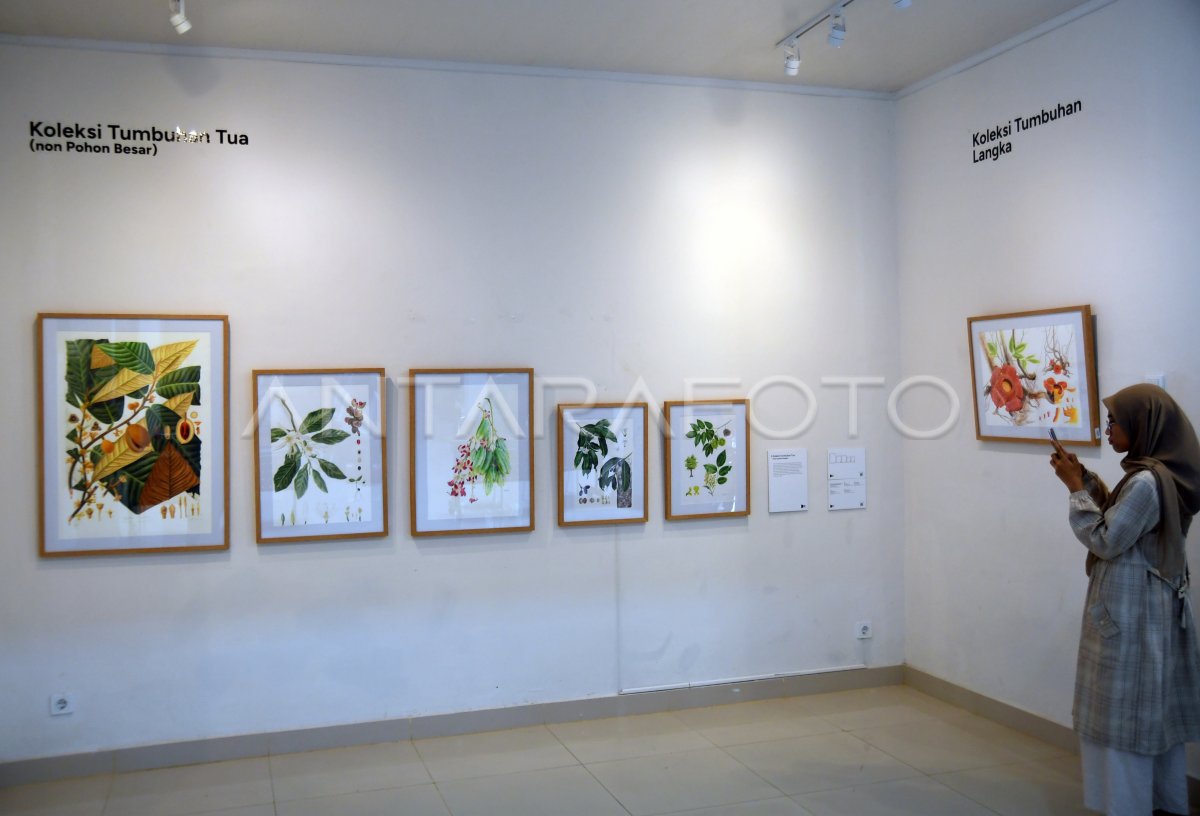 Pameran Pekan Seni Botani di Kebun Raya Bogor