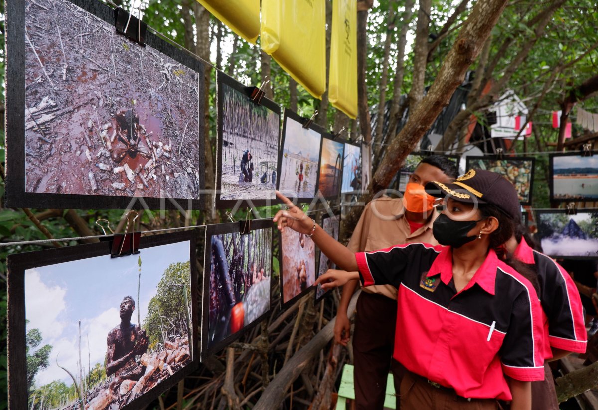 Pameran Fotografi Di Hutan Bakau Papua Antara Foto 6711