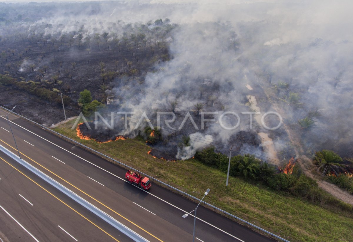 Kebakaran lahan di Palem Raya