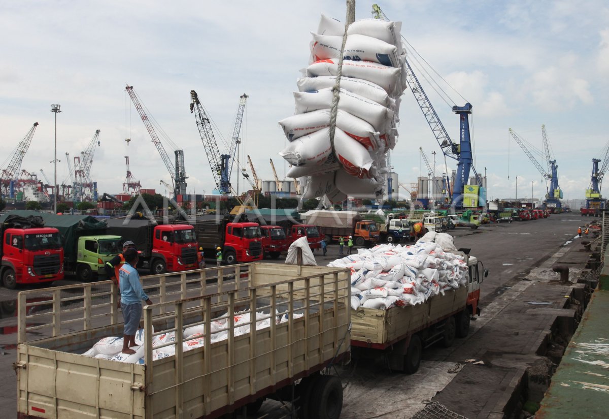 Bongkar Muat Beras Di Pelabuhan Tanjung Perak Surabaya Antara Foto