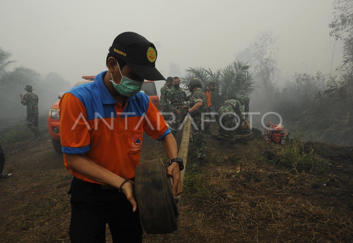 KEBAKARAN HUTAN SEMAKIN MELUAS | ANTARA Foto