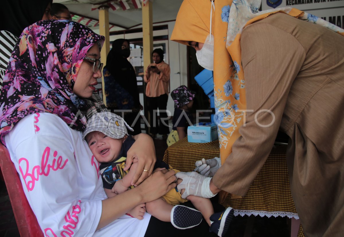 Target Penurunan Angka Stunting Di Maluku Utara Antara Foto