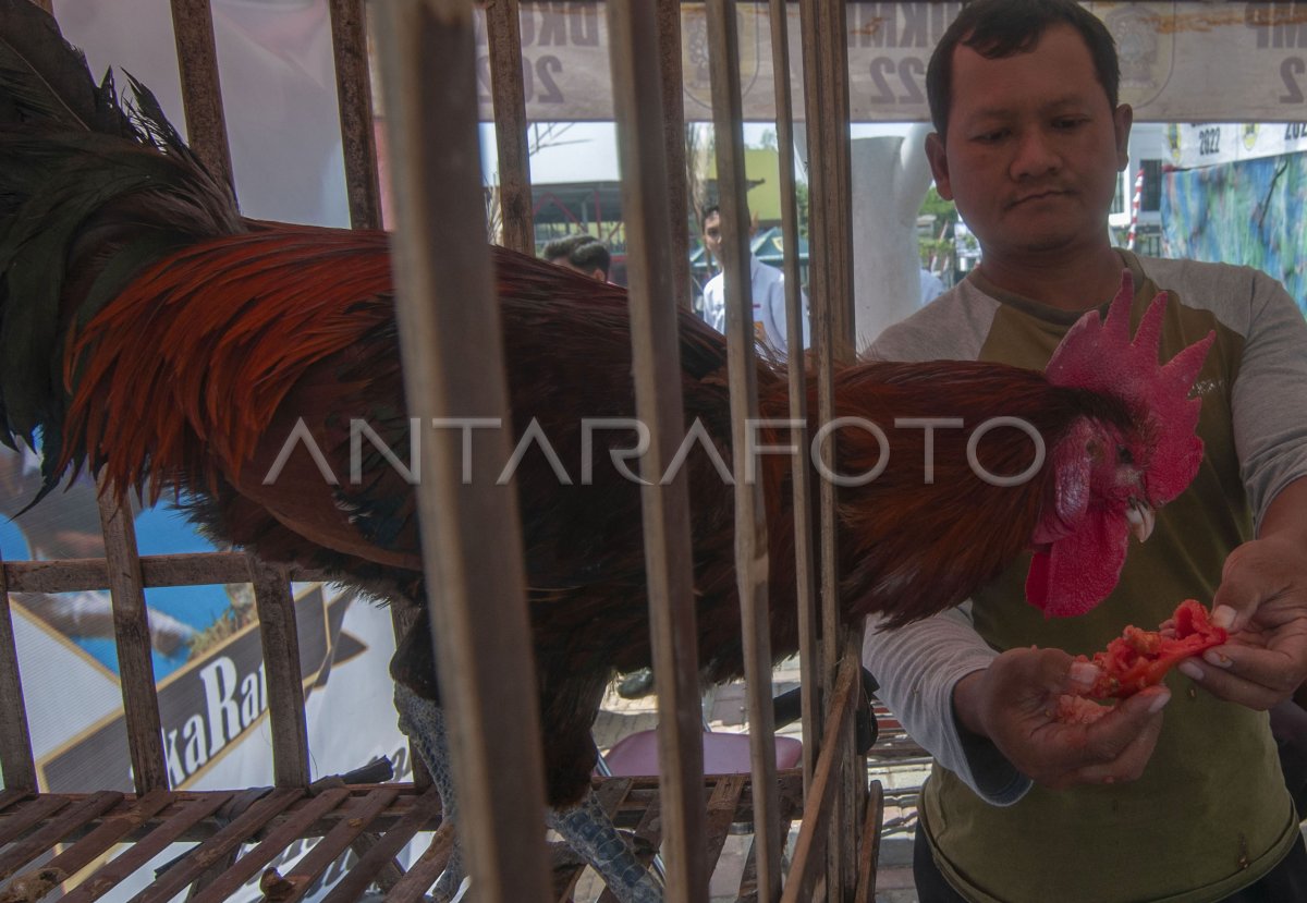 Pameran pembangunan pertanian di Klaten