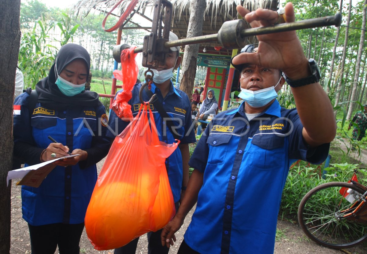 Transformasi Inovatif: Sulap Lahan Tidur Desa Jadi Sentra Agrowisata Menguntungkan
