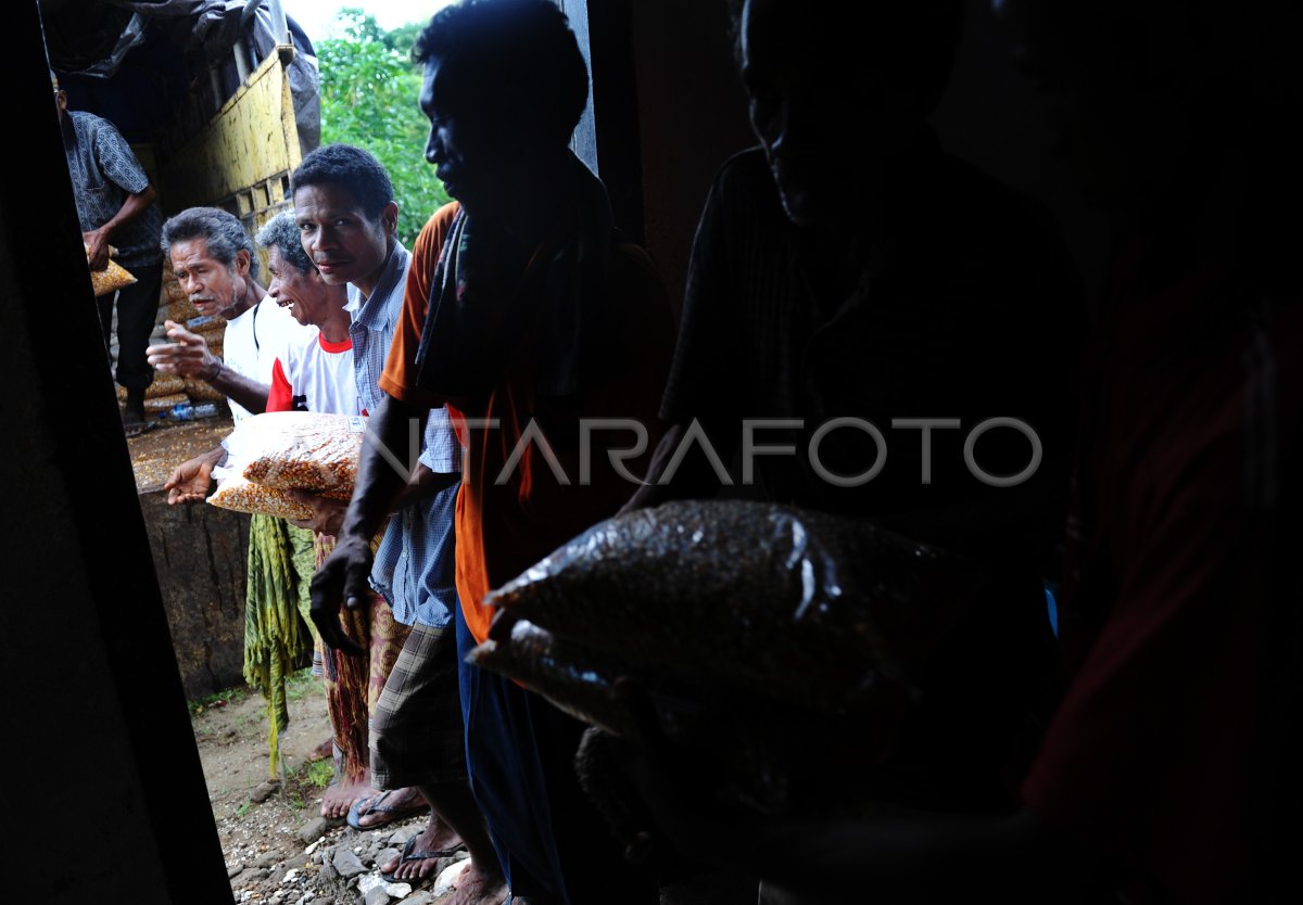 Gagal Panen Antara Foto