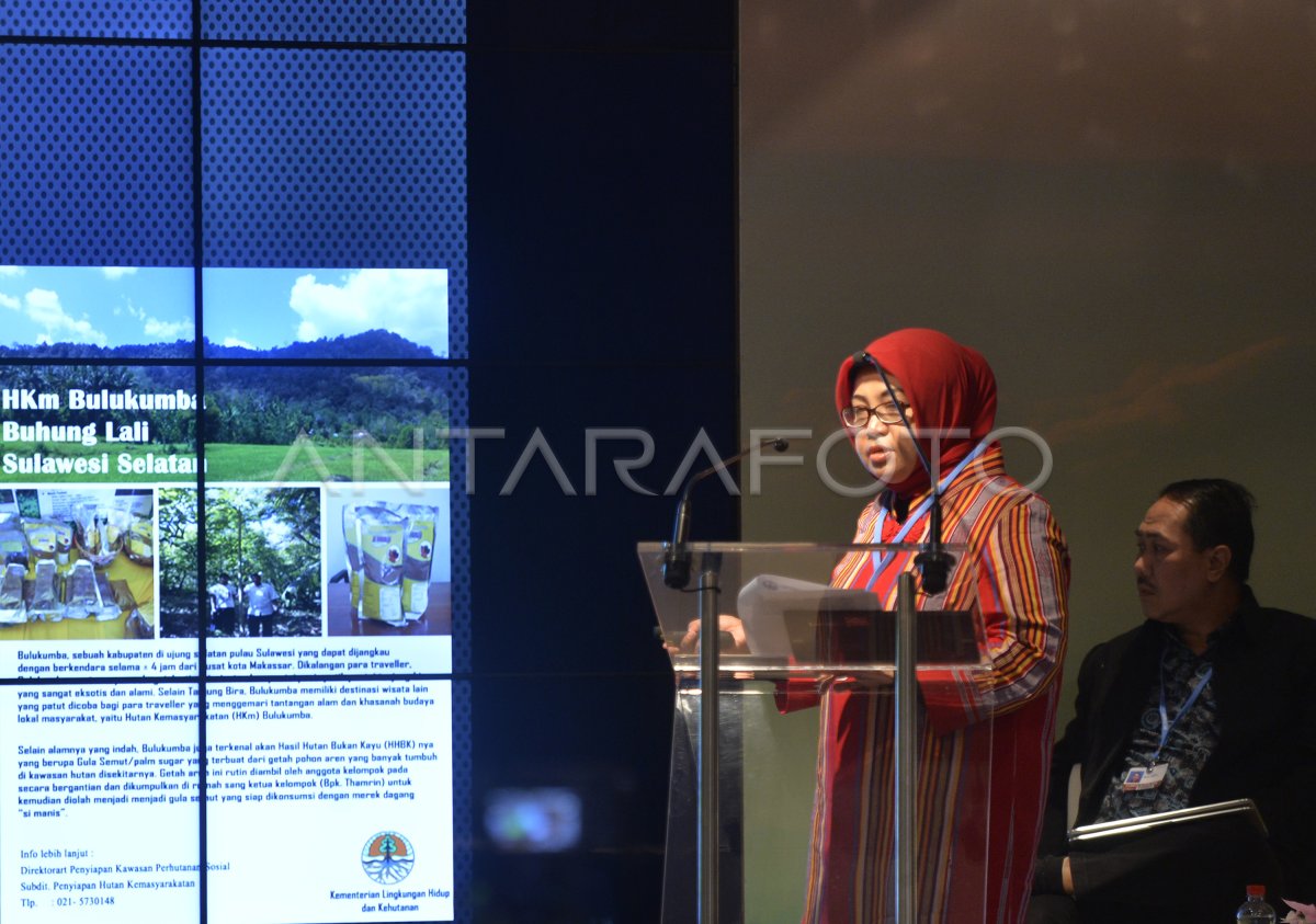 Dampak Perhutanan Sosial Bagi Perubahan Iklim Antara Foto