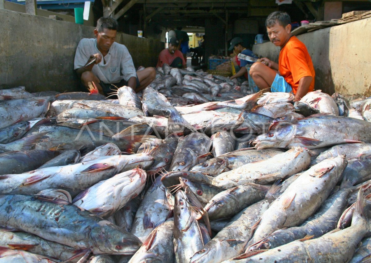 pengolahan hasil laut Bali dan Lombok
